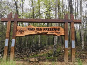 COLUMN: Toms Run Preserve another hidden natural gem
